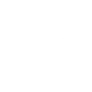 Icon Ladekran